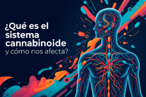 Sistema endocannabinoide