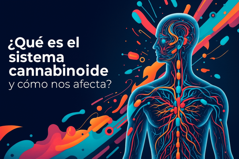 Sistema endocannabinoide